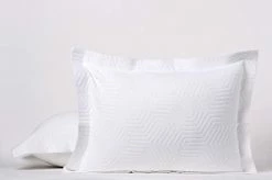 100% Cotton Standard Size Decorative Pillow Shams, Set Of 2 Ultra Soft Premium Pillow Covers/Cases For All Weathers, White Color, Jacquard Matelasse Weave - By Threadmill Aster Beige -Electric Blankets Sales 2022 21 4bUCo46L. AC