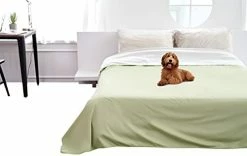 Bee Bee Waterproof Blanket Cover For Dogs, Cats And People | Bed, Sofa And Couch Protector | King And Queen 95”x 90” | Reversible Lightweight (Grey) 11 Bee Bee Waterproof Blanket Cover For Dogs, Cats And People | Bed, Sofa And Couch Protector | King And Queen 95”x 90” | Reversible Lightweight (Grey) -Electric Blankets Sales 2022 31Tc0IMZQlL. AC