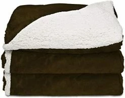 Sunbeam Royal Mink Sherpa Honey Heated Throw 16 Sunbeam Royal Mink Sherpa Honey Heated Throw -Electric Blankets Sales 2022 41 5MiaTrkL. AC