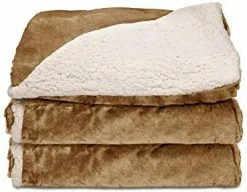 Sunbeam Royal Mink Sherpa Honey Heated Throw 18 Sunbeam Royal Mink Sherpa Honey Heated Throw -Electric Blankets Sales 2022 412SEsf8HL. AC