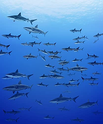 OSHWOW Shark Blanket Shark Gifts For Shark Lovers Shark Decor For Boys Room Shark Fleece Blanket Shark Blanket Adult Large 50" X 60" Shark Pillows Shark Week 8 OSHWOW Shark Blanket Shark Gifts For Shark Lovers Shark Decor For Boys Room Shark Fleece Blanket Shark Blanket Adult Large 50" X 60" Shark Pillows Shark Week - Image 6