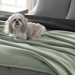 Martex Vellux 1B07034 Original Insulating Core Hotel Style Solid Blanket Machine Washable Soft Cozy Warm Pet Friendly Bed Sofa Blankets, Full Queen, Green -Electric Blankets Sales 2022 41CXIGOBuyL 1