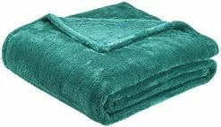 Amazon Basics Soft And Cozy, Plush Blanket - 50" X 60", Green -Electric Blankets Sales 2022 41EY2aYZEL. AC