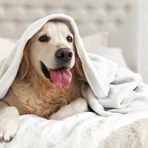 WestPoint Home Fleece Blanket, Winter White, Queen 8 WestPoint Home Fleece Blanket, Winter White, Queen - Image 6