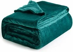 Bedsure Fleece Blankets Twin Size Grey - 300GSM Lightweight Plush Fuzzy Cozy Soft Twin Blanket For Bed, Sofa, Couch, Travel, Camping, 60x80 Inches -Electric Blankets Sales 2022 41MlzykvUYL. AC