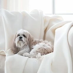 Vellux 1B07030 Original Insulating Core Hotel Style Solid Blanket Machine Washable Soft Cozy Warm Pet Friendly Bed Sofa Blankets, Full Queen, Ivory 10 Vellux 1B07030 Original Insulating Core Hotel Style Solid Blanket Machine Washable Soft Cozy Warm Pet Friendly Bed Sofa Blankets, Full Queen, Ivory -Electric Blankets Sales 2022 41NR6mMZ5LL