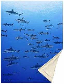 OSHWOW Shark Blanket Shark Gifts For Shark Lovers Shark Decor For Boys Room Shark Fleece Blanket Shark Blanket Adult Large 50" X 60" Shark Pillows Shark Week 11 OSHWOW Shark Blanket Shark Gifts For Shark Lovers Shark Decor For Boys Room Shark Fleece Blanket Shark Blanket Adult Large 50" X 60" Shark Pillows Shark Week -Electric Blankets Sales 2022 41OcDPiXFJL