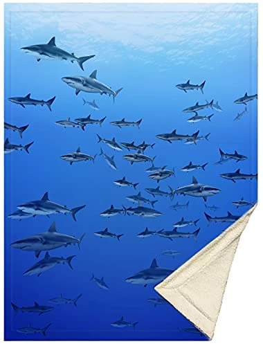 OSHWOW Shark Blanket Shark Gifts For Shark Lovers Shark Decor For Boys Room Shark Fleece Blanket Shark Blanket Adult Large 50" X 60" Shark Pillows Shark Week 6 OSHWOW Shark Blanket Shark Gifts For Shark Lovers Shark Decor For Boys Room Shark Fleece Blanket Shark Blanket Adult Large 50" X 60" Shark Pillows Shark Week - Image 4