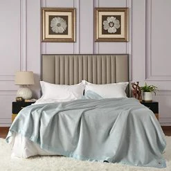 CUDDLE DREAMS Silk Bed Blanket For All Seasons, Accented With Silk-Charmeuse Border, Naturally Soft, Breathable (Silver Gray, King 108" × 90") -Electric Blankets Sales 2022 41QiXrCJ3L. AC