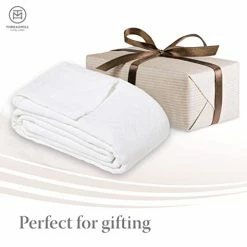 100% Cotton Standard Size Decorative Pillow Shams, Set Of 2 Ultra Soft Premium Pillow Covers/Cases For All Weathers, White Color, Jacquard Matelasse Weave - By Threadmill Aster Beige -Electric Blankets Sales 2022 41QsYClZUFL