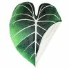 Green Philosophy Co. Giant Leaf Blanket (Philodendron Gloriosum) -Electric Blankets Sales 2022 41gDTejZtJL