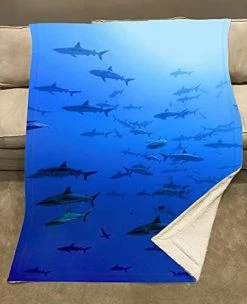 OSHWOW Shark Blanket Shark Gifts For Shark Lovers Shark Decor For Boys Room Shark Fleece Blanket Shark Blanket Adult Large 50" X 60" Shark Pillows Shark Week 10 OSHWOW Shark Blanket Shark Gifts For Shark Lovers Shark Decor For Boys Room Shark Fleece Blanket Shark Blanket Adult Large 50" X 60" Shark Pillows Shark Week -Electric Blankets Sales 2022 41gNMNVvN2L
