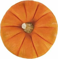 Ambesonne Kiwi Round Blanket, Half Of An Exotic Fruit With The Seeds Summer Season Tropical Vitamin, Lightweight Sofa & Bed Cover Novelty Gifts For All Seasons, 71" Round, Apple Green Pale Khaki 22 Ambesonne Kiwi Round Blanket, Half Of An Exotic Fruit With The Seeds Summer Season Tropical Vitamin, Lightweight Sofa & Bed Cover Novelty Gifts For All Seasons, 71" Round, Apple Green Pale Khaki -Electric Blankets Sales 2022 41hCkkqaflL. AC