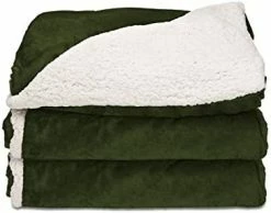 Sunbeam Royal Mink Sherpa Honey Heated Throw 19 Sunbeam Royal Mink Sherpa Honey Heated Throw -Electric Blankets Sales 2022 41jtHwRhtVL. AC