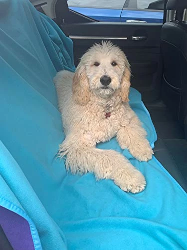 TOP Waterproof Blanket TOP 100% Waterproof Blanket Purple/Blue Jumbo 80x60 For Adults And Pets. Keep Everything Dry No Matter How Wet It Gets! Ultrasoft Noiseless Leakproof. Bed, Mattress, Furniture Protector. EZ Wash/Dry Purple Blue Reversible 6 TOP Waterproof Blanket TOP 100% Waterproof Blanket Purple/Blue Jumbo 80x60 For Adults And Pets. Keep Everything Dry No Matter How Wet It Gets! Ultrasoft Noiseless Leakproof. Bed, Mattress, Furniture Protector. EZ Wash/Dry Purple Blue Reversible - Image 4