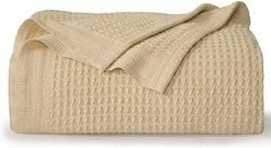 Kotton Culture 100% Cotton Waffle Weave Soft Blanket For Bed Or Couch, All-Season, Machine-Washable, Honeycomb Blanket (Teal, Queen 90 X 90 Inches) 30 Kotton Culture 100% Cotton Waffle Weave Soft Blanket For Bed Or Couch, All-Season, Machine-Washable, Honeycomb Blanket (Teal, Queen 90 X 90 Inches) -Electric Blankets Sales 2022 41pazIb6MEL. AC