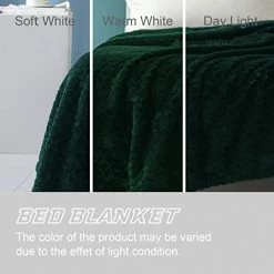 Exclusivo Mezcla Twin Size Flannel Fleece Blanket, 90x66 Inches Soft Jacquard Weave Leaves Pattern Velvet Plush Blanket For Bed, Cozy, Warm, Lightweight And Decorative Forest Green Blanket -Electric Blankets Sales 2022 41tVBTCa1sL
