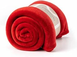 Mellowdy - Plush Flannel Blanket (Iron Brown, 90x90) - 320GSM Queen Size Soft, Cozy, Warm, Colorful Bed Blanket Throw -Electric Blankets Sales 2022 41uHLMcYOdL. AC