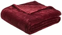 Amazon Basics Soft And Cozy, Plush Blanket - 50" X 60", Green -Electric Blankets Sales 2022 41ug5ynik7L. AC 1