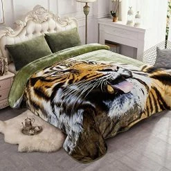 JYK Korean Faux Mink Fleece Blanket Queen 75" X 87", 5Pounds - 2 Ply Reversible Silky Soft Plush Warm Blanket For Autumn, Winter - Rose/Notre Dame Solid Color Pattern-grey -Electric Blankets Sales 2022 512QdH2neRL. AC