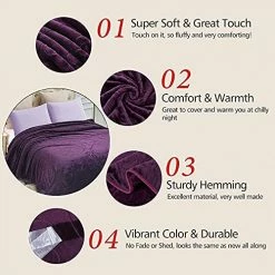 JML Plush Fleece Blanket, Bed Blanket Queen Size (75" X 91") - Soft, Warm, Lightweight Solid Color Embossed Blanket For Bed, Pattern-Purple -Electric Blankets Sales 2022 512dS9UmTUS