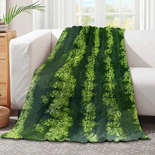 321DESIGN Glittering Beauty Mermaid Salty Air Fish Shell Microfiber Flannel Blankets For Couch, Bed, Sofa Ultra Luxurious Warm And Cozy For All Seasons Pets-30x40 In 12 321DESIGN Glittering Beauty Mermaid Salty Air Fish Shell Microfiber Flannel Blankets For Couch, Bed, Sofa Ultra Luxurious Warm And Cozy For All Seasons Pets-30x40 In - Image 10