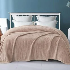 Exclusivo Mezcla Twin Size Flannel Fleece Blanket, 90x66 Inches Soft Jacquard Weave Leaves Pattern Velvet Plush Blanket For Bed, Cozy, Warm, Lightweight And Decorative Forest Green Blanket -Electric Blankets Sales 2022 514a6sOixGL. AC