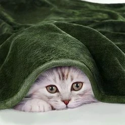 PiccoCasa Fleece Bed Blanket Full Size Olive Green 330GSM Soft Lightweight Microfiber Plush Flannel Blanket Thick All Season Throw Blankets For Couch Sofa Bed Traveling, 78 X 90 Inches 20 PiccoCasa Fleece Bed Blanket Full Size Olive Green 330GSM Soft Lightweight Microfiber Plush Flannel Blanket Thick All Season Throw Blankets For Couch Sofa Bed Traveling, 78 X 90 Inches -Electric Blankets Sales 2022 515eNVu7rrL