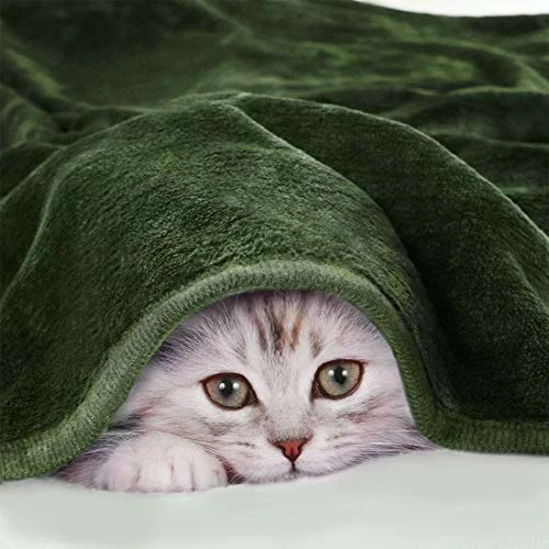 PiccoCasa Fleece Bed Blanket Full Size Olive Green 330GSM Soft Lightweight Microfiber Plush Flannel Blanket Thick All Season Throw Blankets For Couch Sofa Bed Traveling, 78 X 90 Inches 6 PiccoCasa Fleece Bed Blanket Full Size Olive Green 330GSM Soft Lightweight Microfiber Plush Flannel Blanket Thick All Season Throw Blankets For Couch Sofa Bed Traveling, 78 X 90 Inches - Image 4