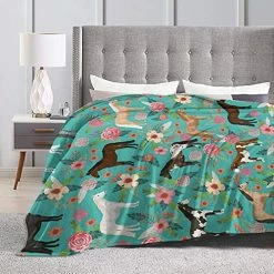 Scroll Sport Multi Theme Blanket Size Lightweight Super Soft Comfortable Luxury Bed Blanket Microfiber (Flower Horse, 40"x50") 20 Scroll Sport Multi Theme Blanket Size Lightweight Super Soft Comfortable Luxury Bed Blanket Microfiber (Flower Horse, 40"x50") -Electric Blankets Sales 2022 517JotlbLkS