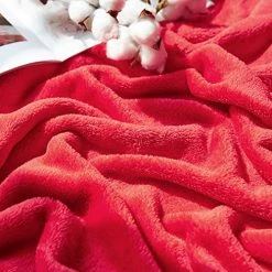 SEDONA HOUSE Flannel Fleece Throw Blanket, Twin Size Lightweight Super Soft Cozy Luxury Blanket For Sofa Couch Bed Camping Travel, 60 X 80 Inches, Red 1.teal -Electric Blankets Sales 2022 51Gc6o3SMGL