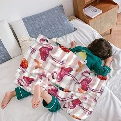 YISDZSW Flamingo Fuzzy Blanket Cute Travel Blanket Plush Soft Warm Flannel Microfiber Blanket For Couch Bed Sofa Flamingo Gifts For Women Pink And White 40 × 50 Inches -Electric Blankets Sales 2022 51JglwsHWEL