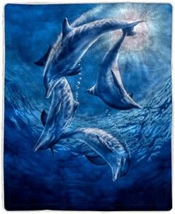 Sherpa Fleece Throw Blanket- Lighthouse Print Pattern, Lightweight Hypoallergenic Bed Or Couch Soft Plush Blanket For Adults And Kids By Lavish Home -Electric Blankets Sales 2022 51PbBKWpn8L. AC