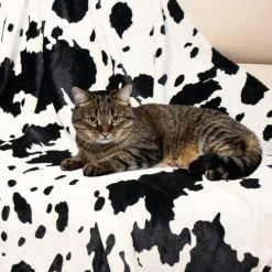 OHOIT Fleece Cow Print Throw Blankets, Soft Flannel Cozy Cow Blankets For Kids Adults, Washable Lightweight Fuzzy Cow Print Blanket For Couch Sofa Bed Office, Warm Plush Blankets For All Season 50"×60in Mom Blanket -Electric Blankets Sales 2022 51YZ1Du7A6L