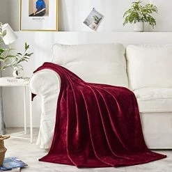 ZYL Flannel Fleece Throw Blanket, Soft Lightweight All-Season Plush Blanket, Microfiber Fluffy Blanket For Couch Bed Sofa,Solid Color Pattern (Purple,50" X 60") -Electric Blankets Sales 2022 51bkCtJKLZL. AC