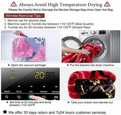 JYK Korean Faux Mink Fleece Blanket Queen 75" X 87", 5Pounds - 2 Ply Reversible Silky Soft Plush Warm Blanket For Autumn, Winter - Rose/Notre Dame Solid Color Pattern-grey -Electric Blankets Sales 2022 51fTrGZYPSL