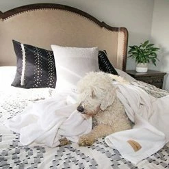 Peacock Alley Favorite Blanket | Luxury Reversible Cotton Blanket | Perfect For Year Around Use | 100% Long Staple Cotton (White, King/Cali King) 16 Peacock Alley Favorite Blanket | Luxury Reversible Cotton Blanket | Perfect For Year Around Use | 100% Long Staple Cotton (White, King/Cali King) -Electric Blankets Sales 2022 51gUz0KGheL