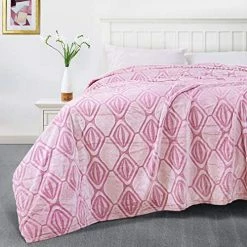 SEDONA HOUSE Flannel Fleece Throw Blanket, Twin Size Lightweight Super Soft Cozy Luxury Blanket For Sofa Couch Bed Camping Travel, 60 X 80 Inches, Red 1.teal -Electric Blankets Sales 2022 51r851xrKyL. AC