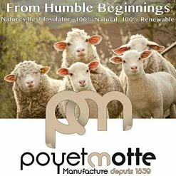 Poyet Motte Made In France Poyet Motte Aubisque 500GSM Heavyweight 100-Percent Wool Blanket (Full/Queen, Doe/Natural) -Electric Blankets Sales 2022 51tOnpYaeCL 2