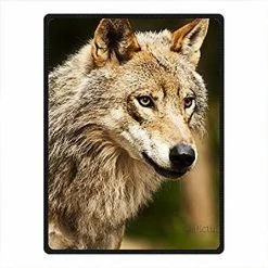 HommomH 50" X 80" Blanket Comfort Warmth Soft Cozy Air Conditioning Easy Care Machine Wash Nautical Decor Anchor Multi 5 27 HommomH 50" X 80" Blanket Comfort Warmth Soft Cozy Air Conditioning Easy Care Machine Wash Nautical Decor Anchor Multi 5 -Electric Blankets Sales 2022 51vD3AZkSoL. AC