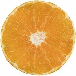 Ambesonne Kiwi Round Blanket, Half Of An Exotic Fruit With The Seeds Summer Season Tropical Vitamin, Lightweight Sofa & Bed Cover Novelty Gifts For All Seasons, 71" Round, Apple Green Pale Khaki 26 Ambesonne Kiwi Round Blanket, Half Of An Exotic Fruit With The Seeds Summer Season Tropical Vitamin, Lightweight Sofa & Bed Cover Novelty Gifts For All Seasons, 71" Round, Apple Green Pale Khaki -Electric Blankets Sales 2022 51vUale 5PL. AC