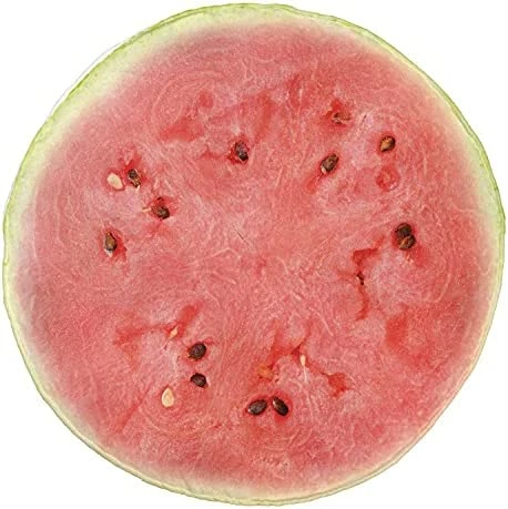 Ambesonne Kiwi Round Blanket, Half Of An Exotic Fruit With The Seeds Summer Season Tropical Vitamin, Lightweight Sofa & Bed Cover Novelty Gifts For All Seasons, 71" Round, Apple Green Pale Khaki 11 Ambesonne Kiwi Round Blanket, Half Of An Exotic Fruit With The Seeds Summer Season Tropical Vitamin, Lightweight Sofa & Bed Cover Novelty Gifts For All Seasons, 71" Round, Apple Green Pale Khaki - Image 9