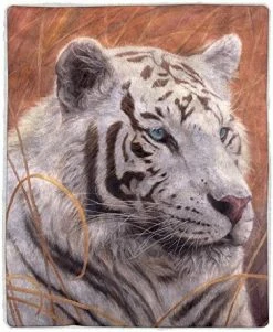 Sherpa Fleece Throw Blanket- Lighthouse Print Pattern, Lightweight Hypoallergenic Bed Or Couch Soft Plush Blanket For Adults And Kids By Lavish Home -Electric Blankets Sales 2022 61HC4quJ6PL. AC