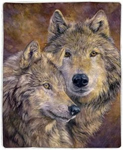 Sherpa Fleece Throw Blanket- Lighthouse Print Pattern, Lightweight Hypoallergenic Bed Or Couch Soft Plush Blanket For Adults And Kids By Lavish Home -Electric Blankets Sales 2022 61LnERyDJGL. AC