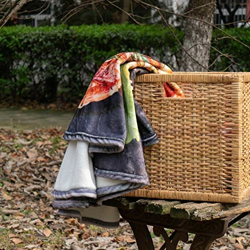 BATTILO HOME Interesting Steak Food Blanket, Funny Soft Large Flannel Gift Food Blankets For Adlts Pets Friends Couch Bed Sofa Travel, Diameter 71 Inch Flower Waffle 7 BATTILO HOME Interesting Steak Food Blanket, Funny Soft Large Flannel Gift Food Blankets For Adlts Pets Friends Couch Bed Sofa Travel, Diameter 71 Inch Flower Waffle - Image 5