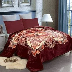 JML Heavy Fleece Blanket King(85"x95", 10lbs), 2 Ply Korean Mink Blanket - Soft Warm Thick Korean Mink Printed Plush Asian Fleece Raschel Bed Blanket For Autumn,Winter,Bed,Home,Gifts Red Floral -Electric Blankets Sales 2022 61hJi7kZ2eL. AC